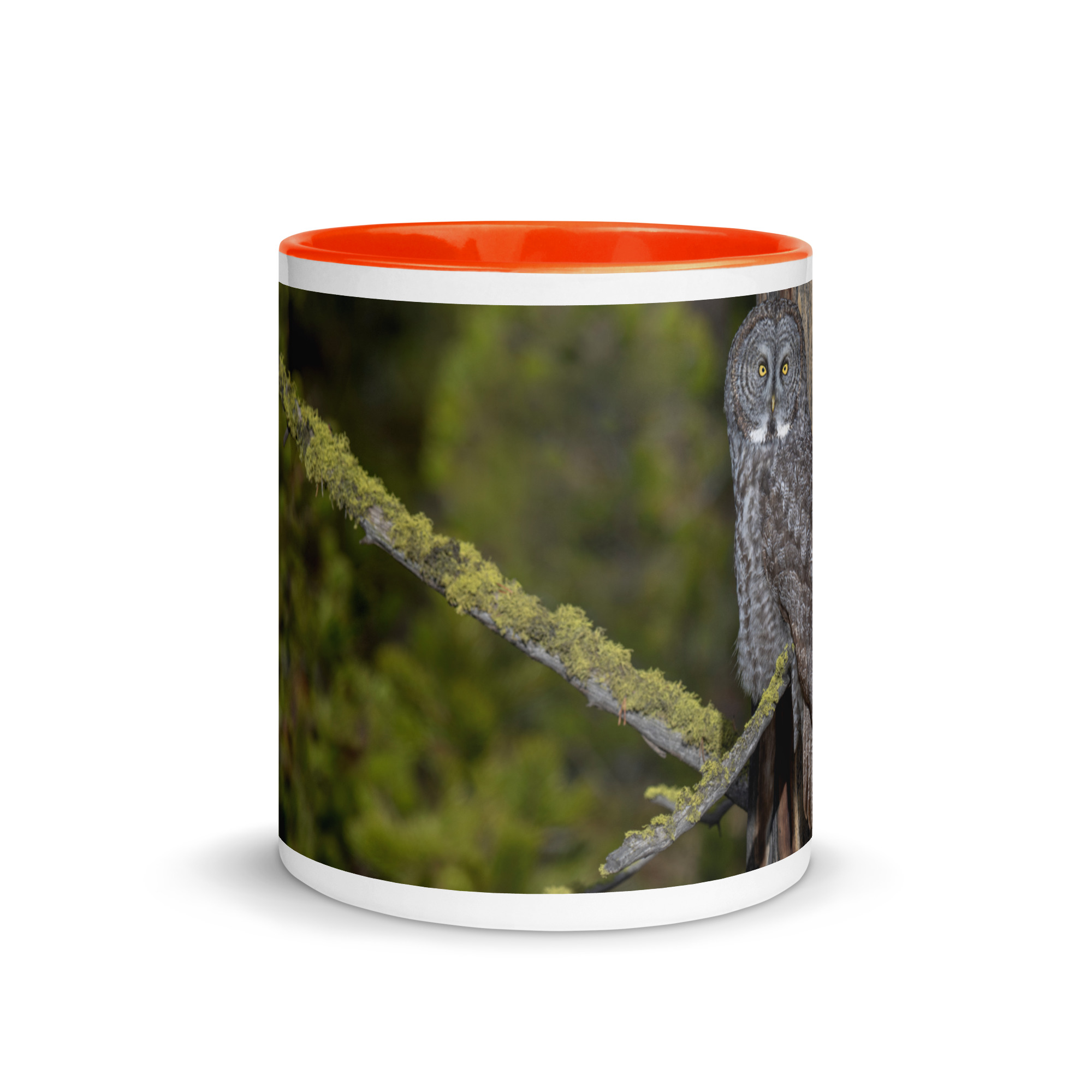 Great Grey Owl Basking in the Sun! Mug with Color Inside - Image 14