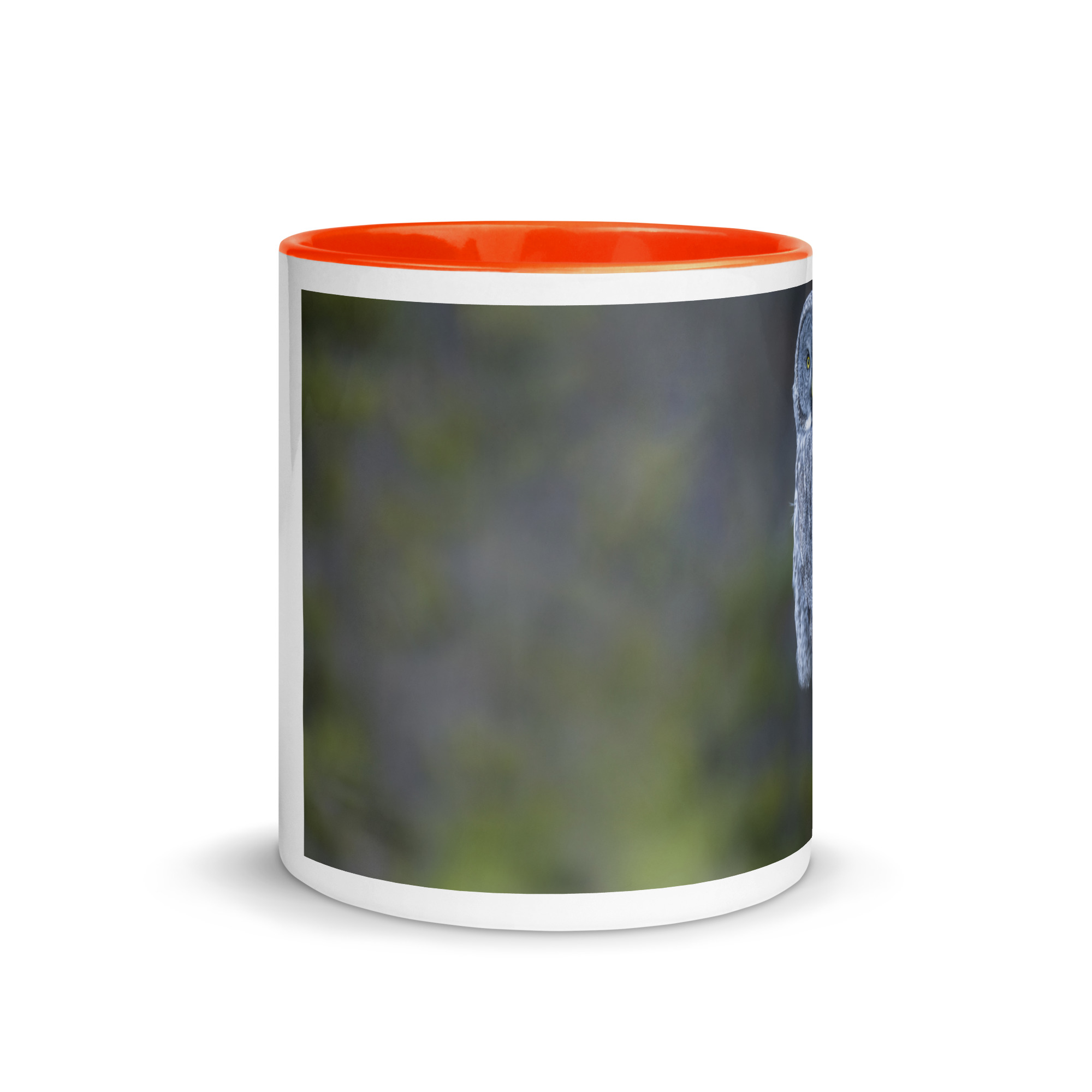 Great Grey Owl! Mug with Color Inside - Image 14
