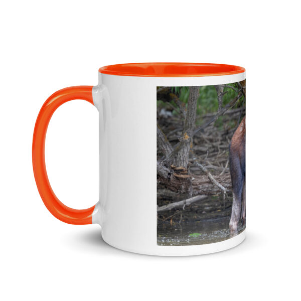 Portrait of a Mama Moose! Mug with Color Inside - Image 15