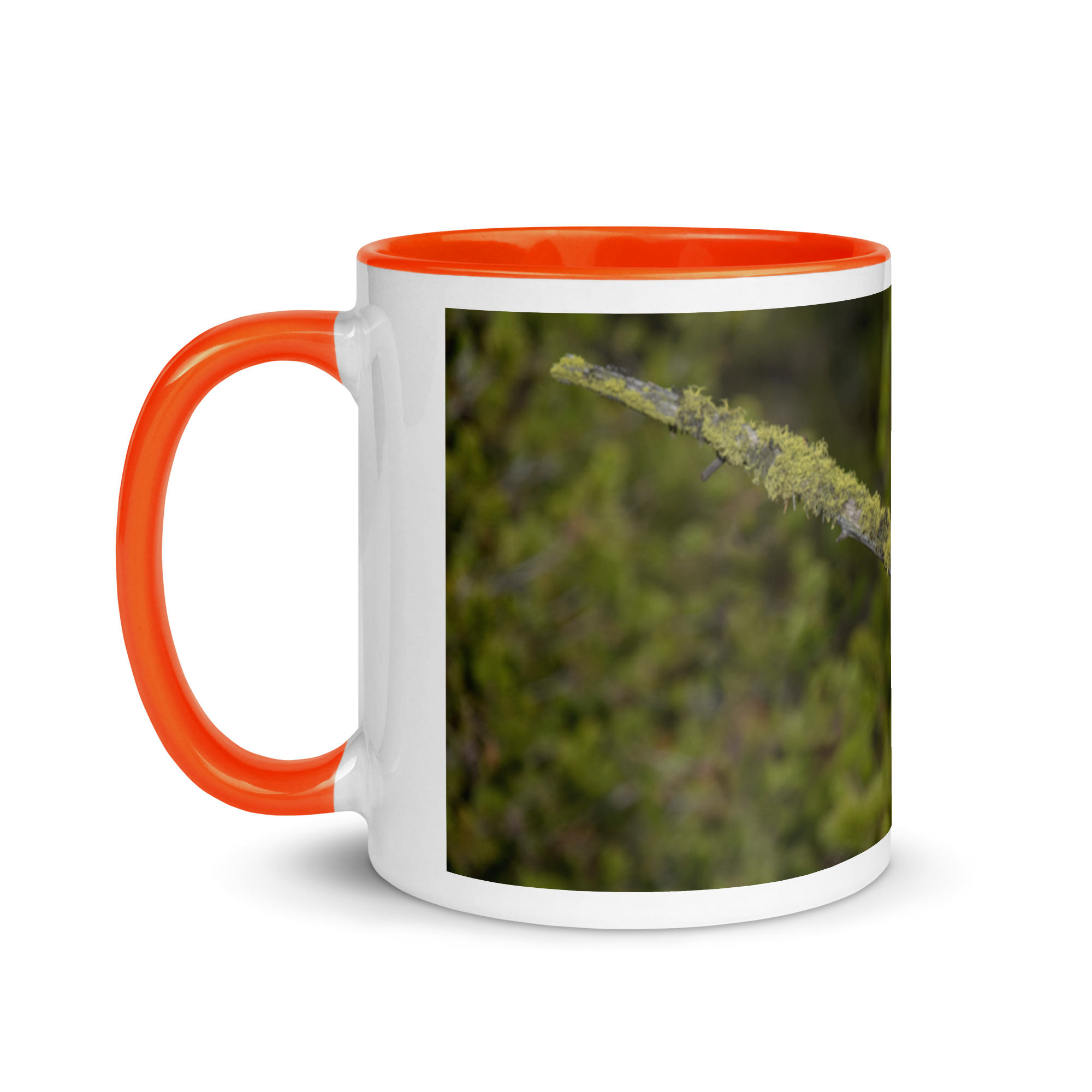 Great Grey Owl Basking in the Sun! Mug with Color Inside - Image 15