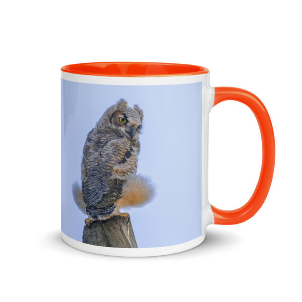 Baby Great Horned Owl! Mug with Color Inside - Image 13