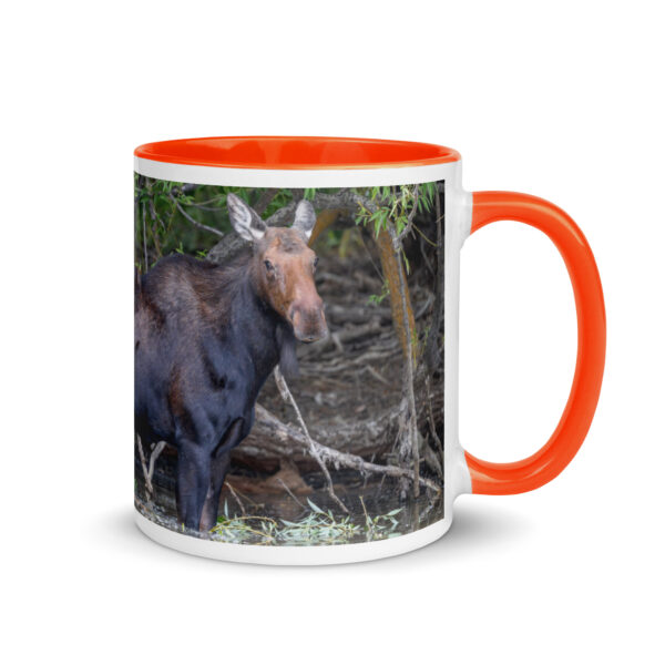 Portrait of a Mama Moose! Mug with Color Inside - Image 13