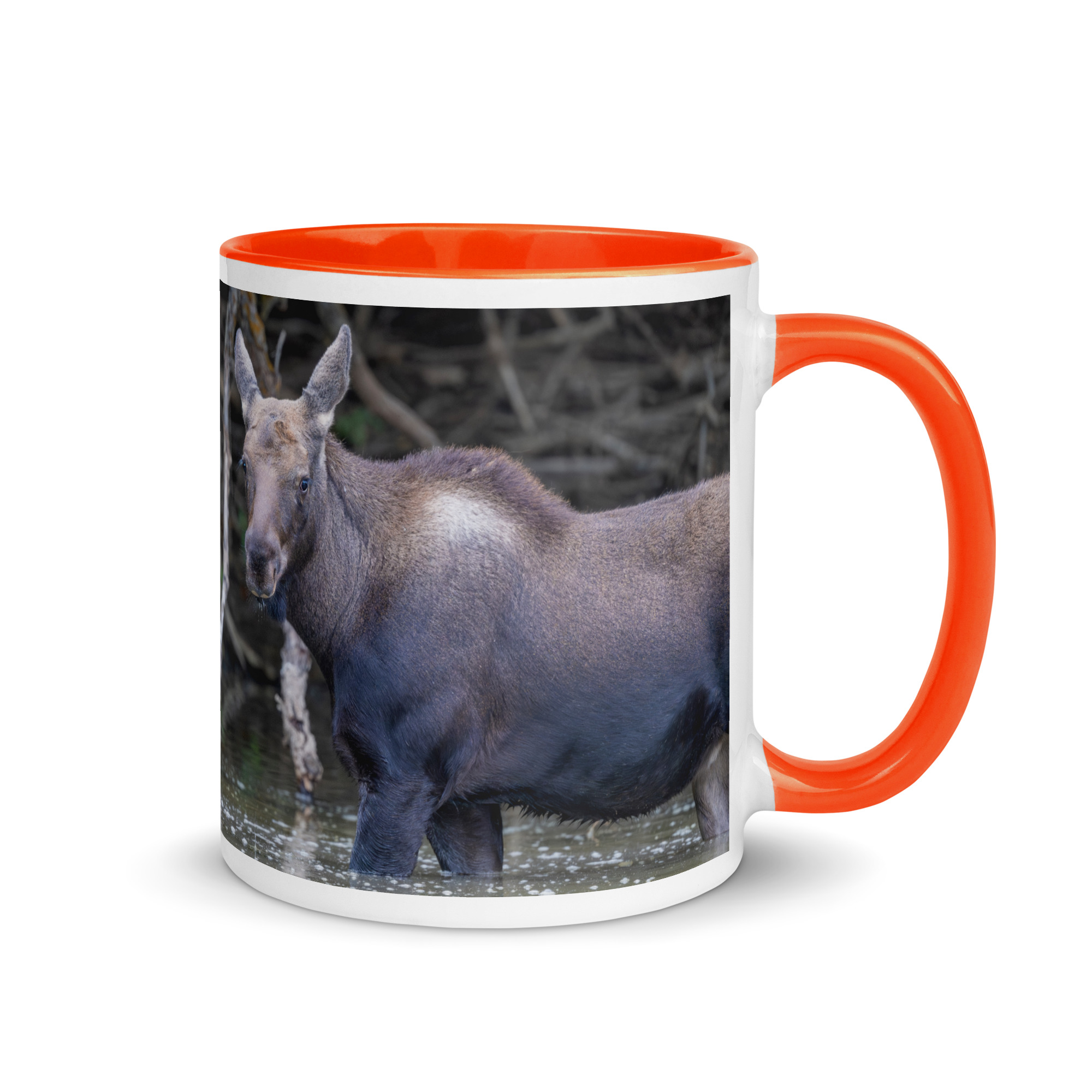 Baby Moose! Mug with Color Inside - Image 13