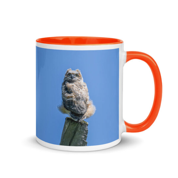 Baby Great horned owl!  Mug with Color Inside - Image 13