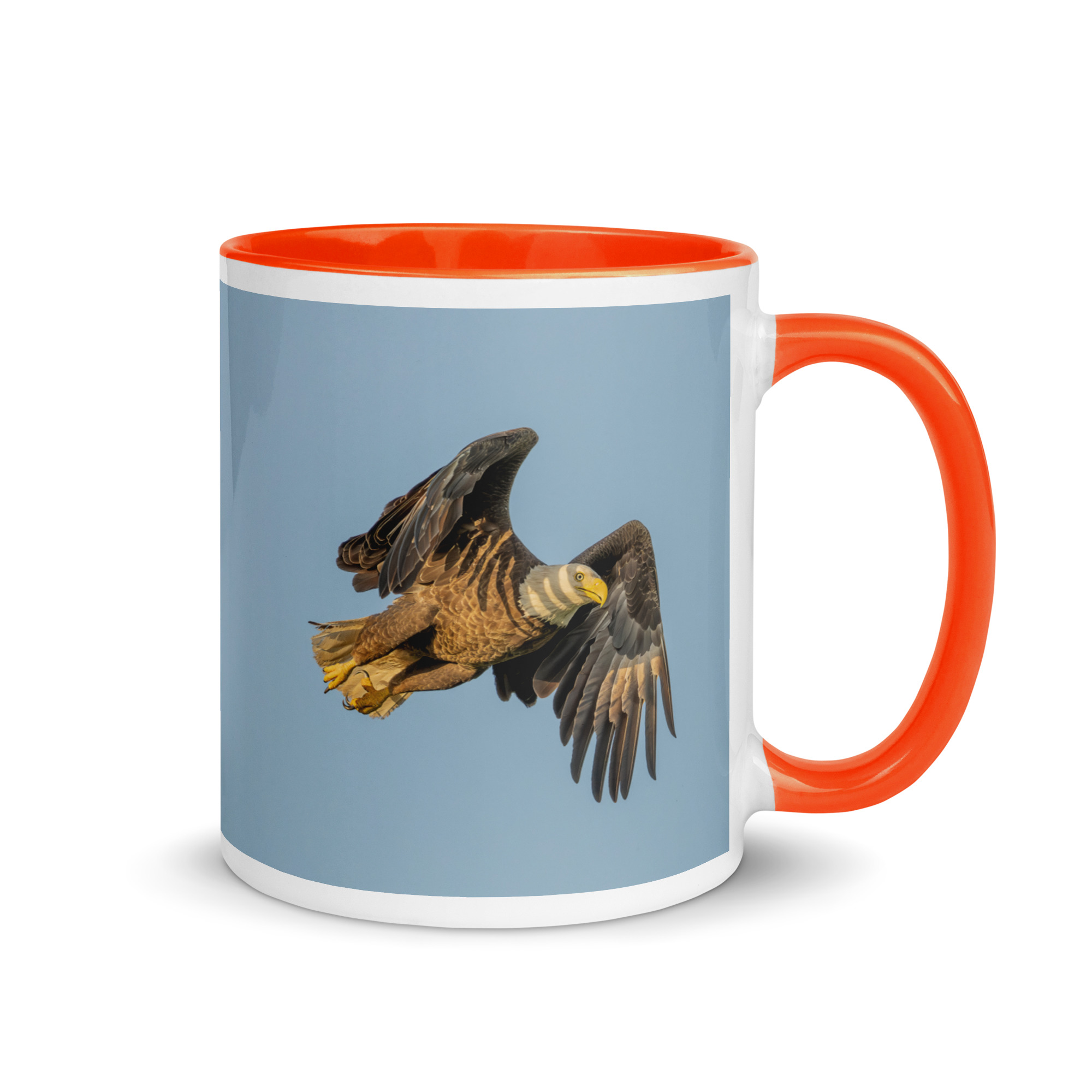 Bald Eagle in Flight at Sunrise! Mug with Color Inside - Image 13