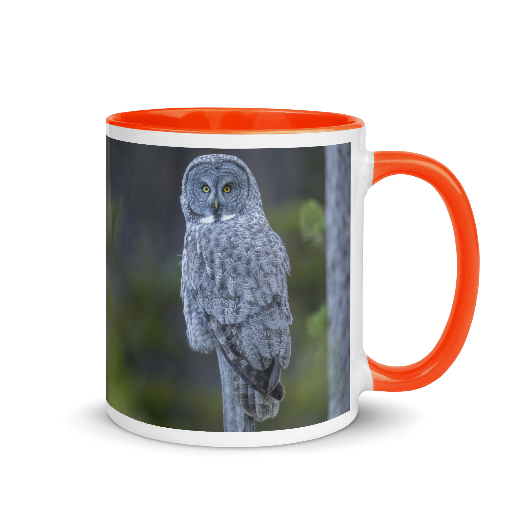 Great Grey Owl! Mug with Color Inside - Image 13