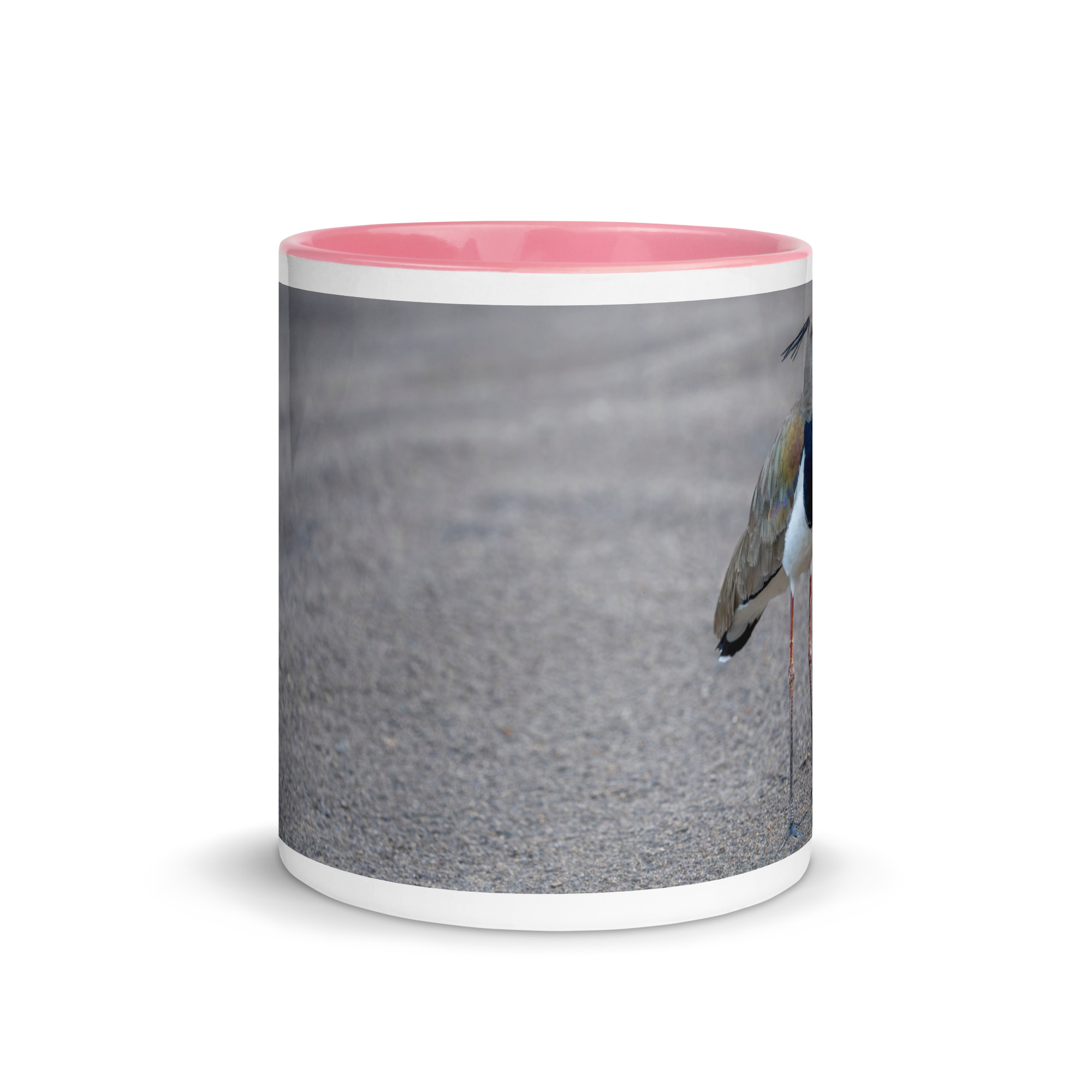 Southern lapwing! Mug with Color Inside - Image 20