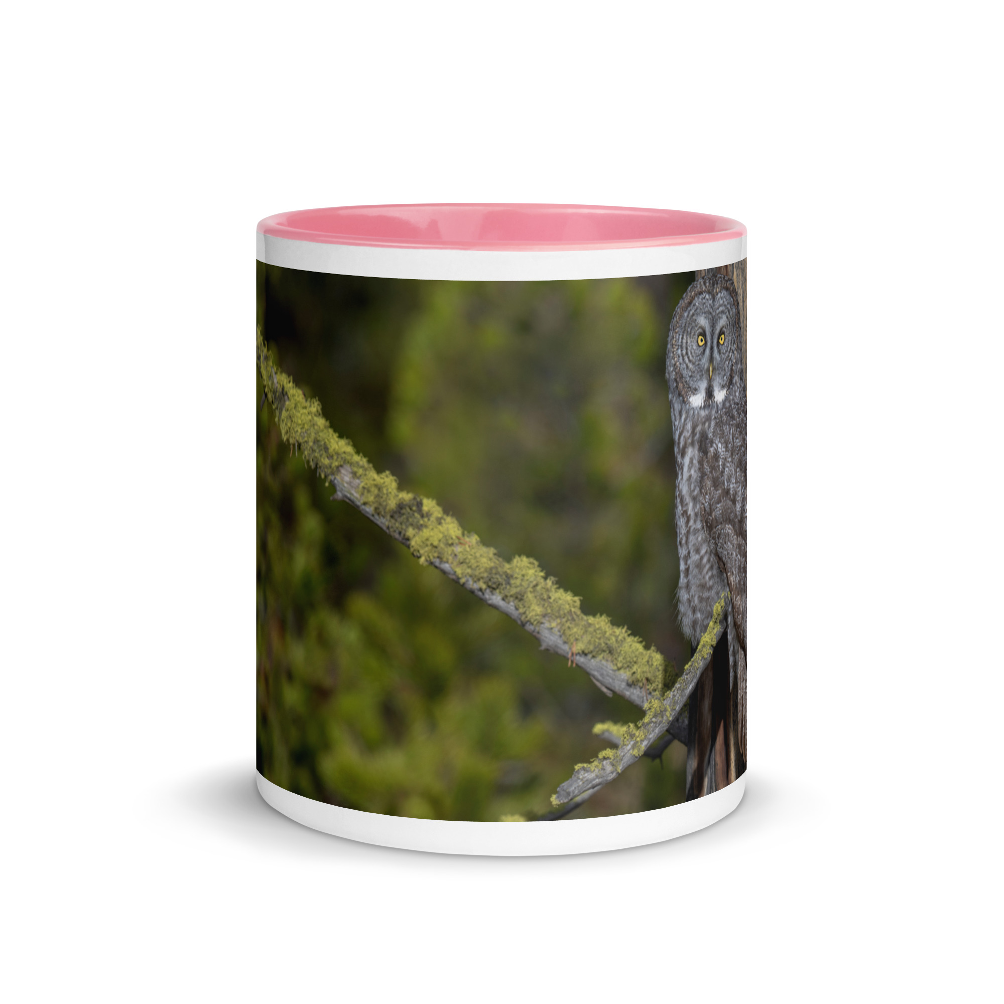 Great Grey Owl Basking in the Sun! Mug with Color Inside - Image 20
