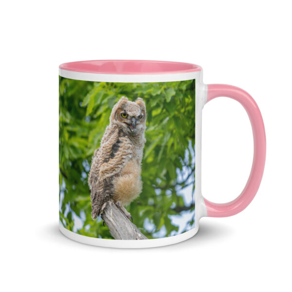 Baby Great horned owl! Mug with Color Inside - Image 19