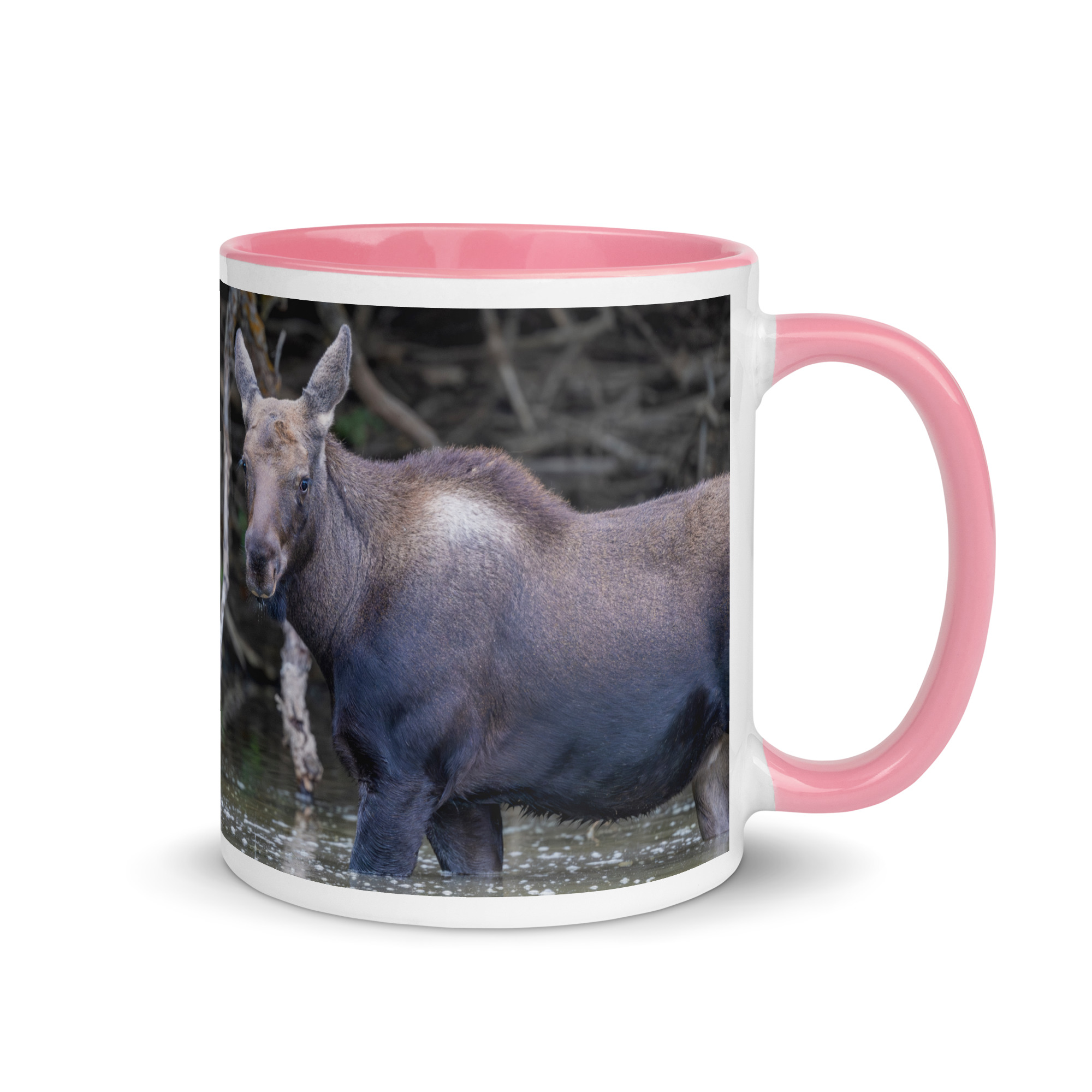 Baby Moose! Mug with Color Inside - Image 19