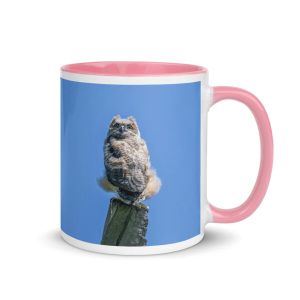 Baby Great horned owl!  Mug with Color Inside - Image 19