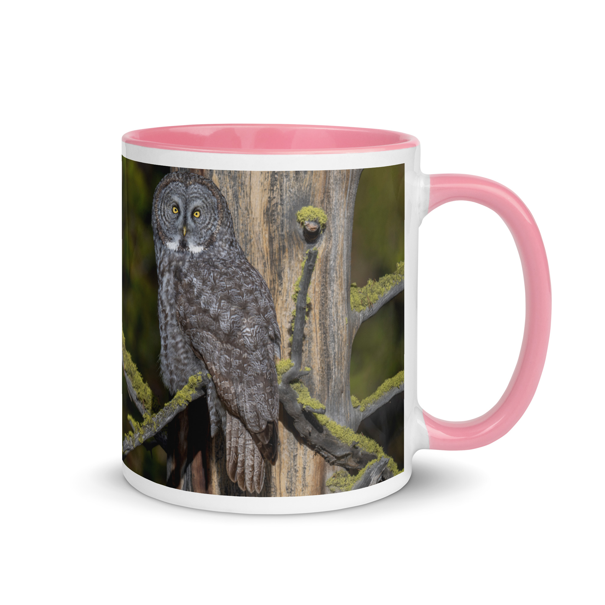 Great Grey Owl Basking in the Sun! Mug with Color Inside - Image 19