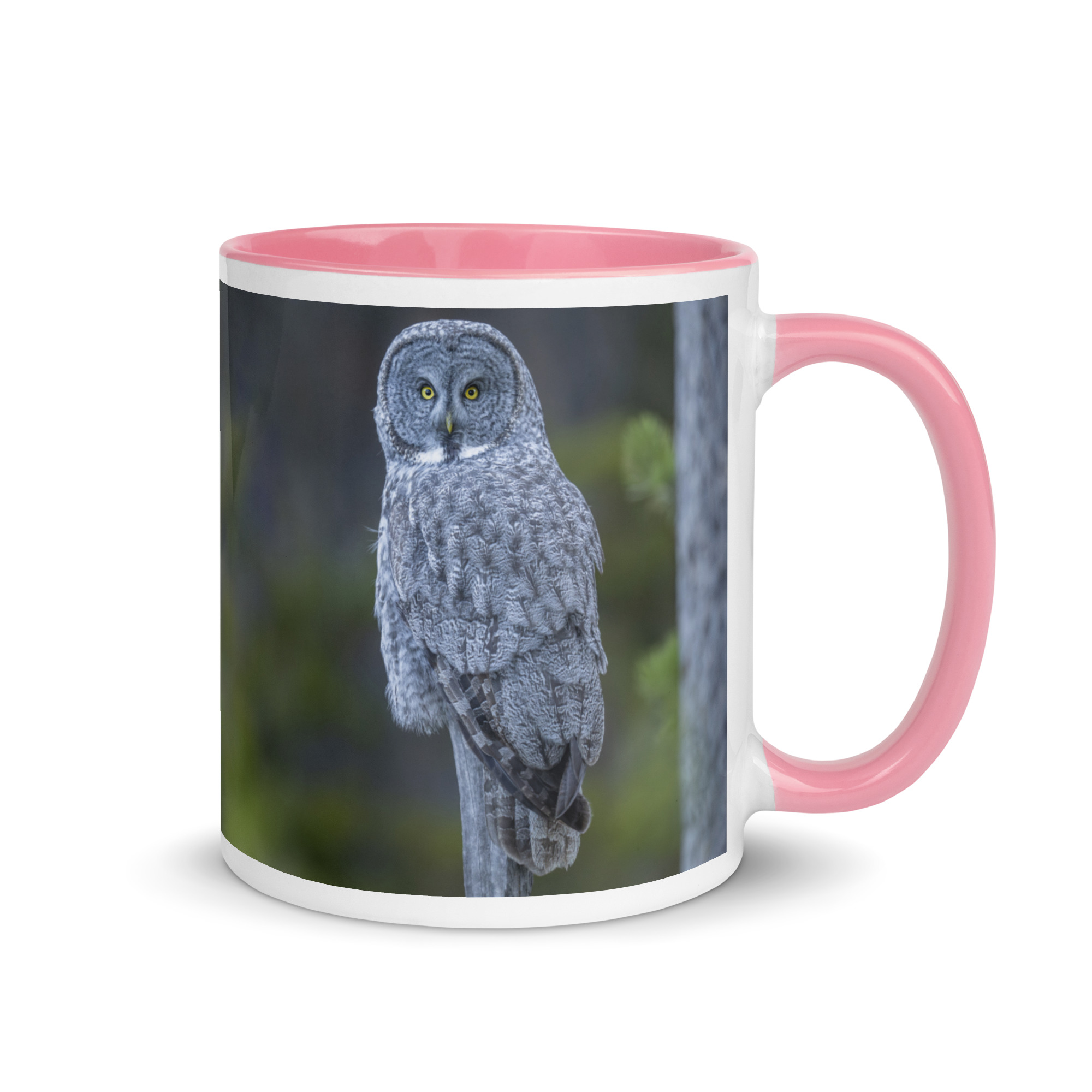 Great Grey Owl! Mug with Color Inside - Image 19