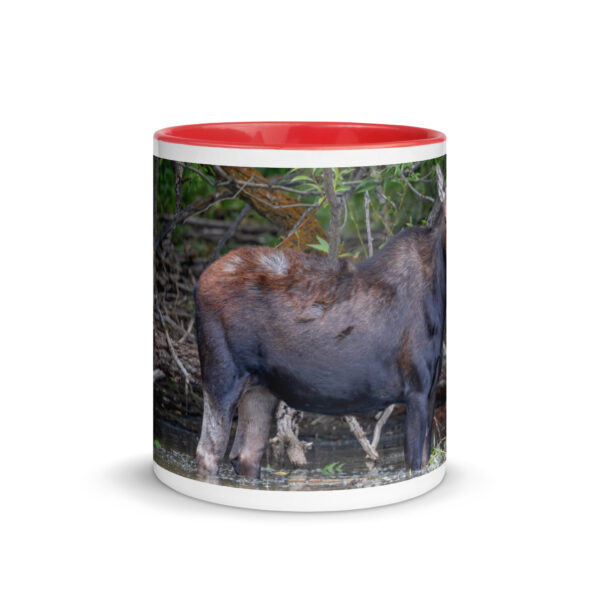 Portrait of a Mama Moose! Mug with Color Inside - Image 8
