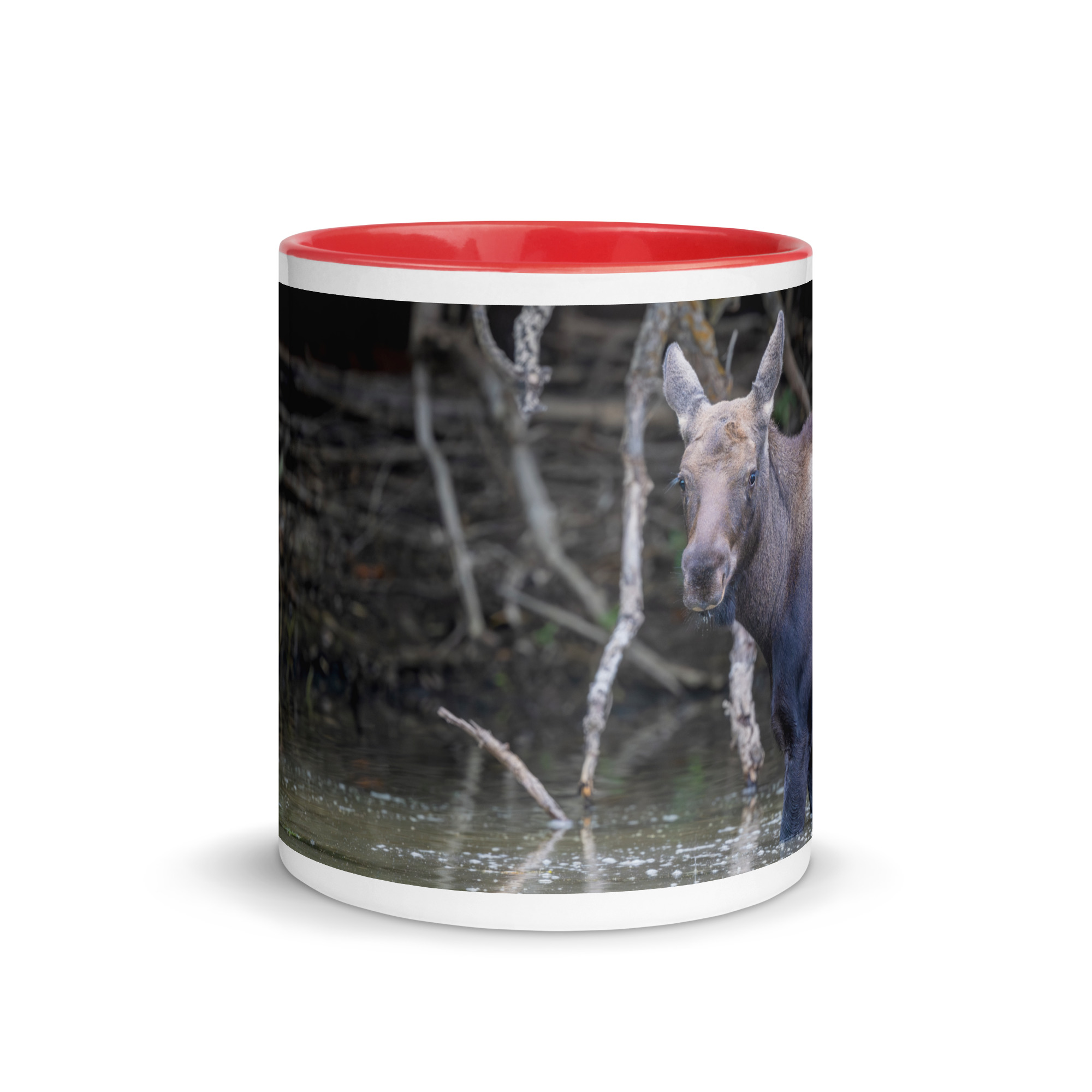 Baby Moose! Mug with Color Inside - Image 8