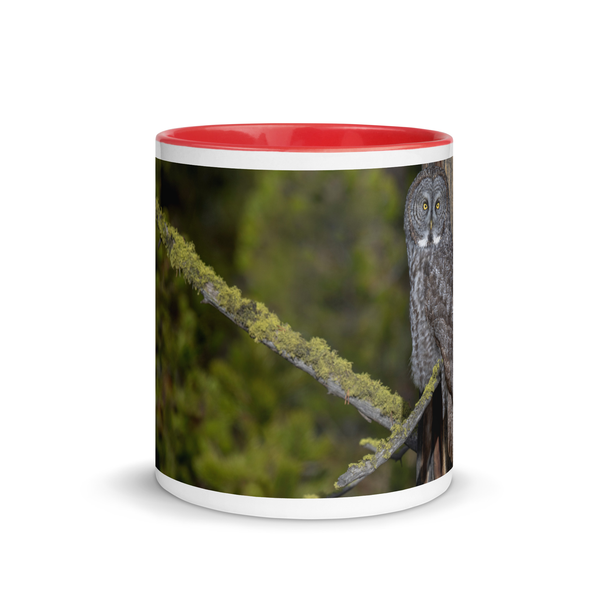 Great Grey Owl Basking in the Sun! Mug with Color Inside - Image 8
