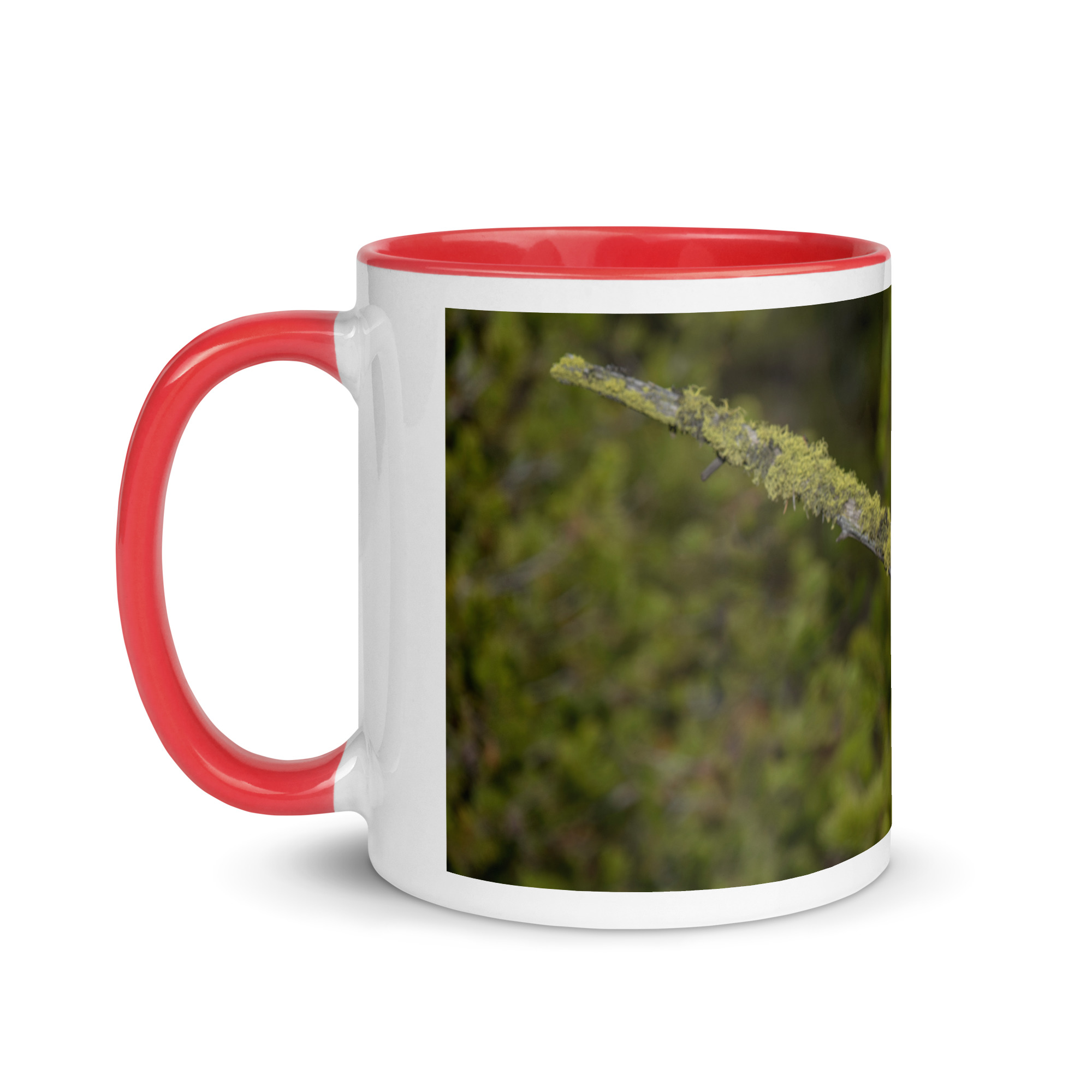 Great Grey Owl Basking in the Sun! Mug with Color Inside - Image 9