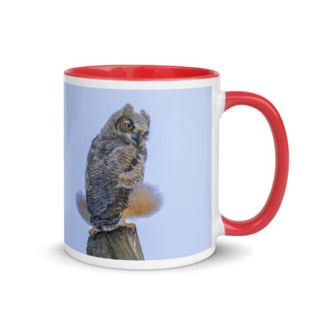 Baby Great Horned Owl! Mug with Color Inside