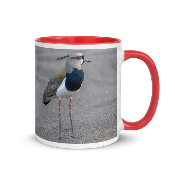 Southern lapwing! Mug with Color Inside
