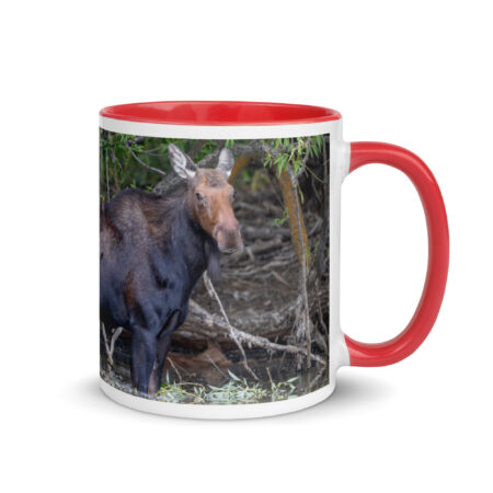 Portrait of a Mama Moose! Mug with Color Inside