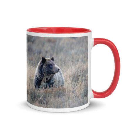Grizzly bear! Mug with Color Inside