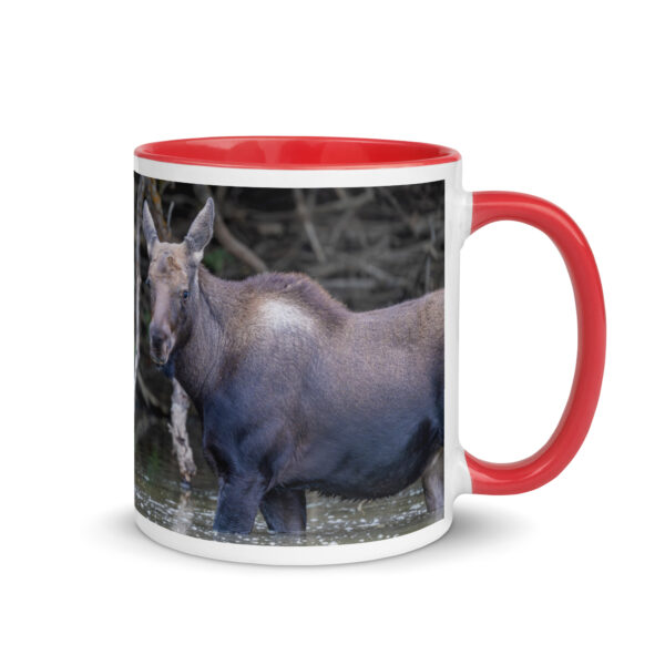 Baby Moose! Mug with Color Inside