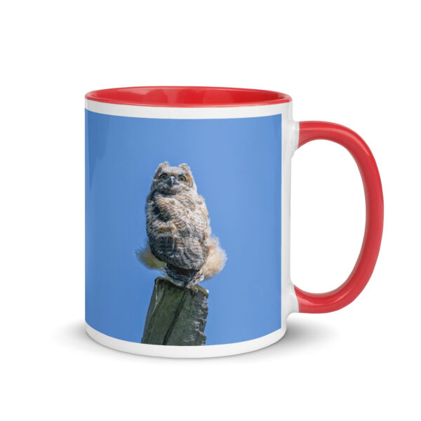 Baby Great horned owl!  Mug with Color Inside