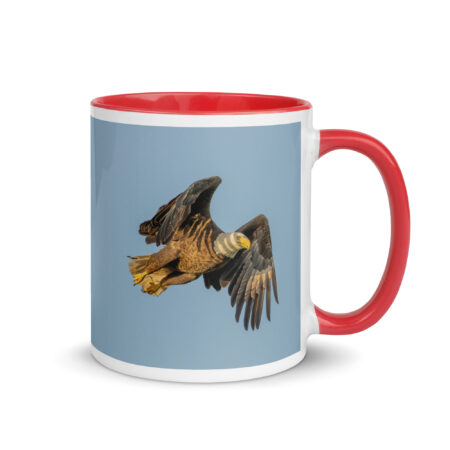 Bald Eagle in Flight at Sunrise! Mug with Color Inside