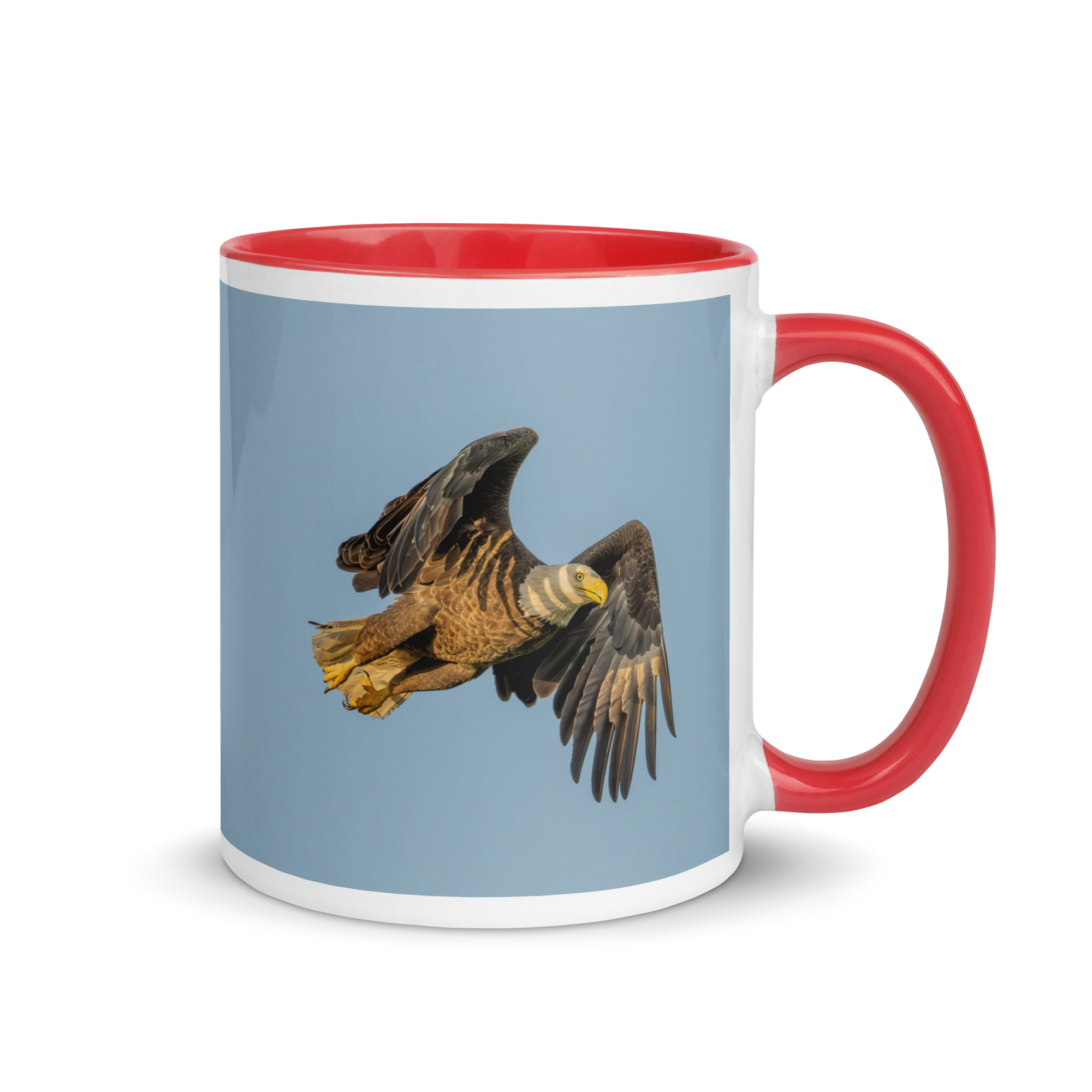Bald Eagle in Flight at Sunrise! Mug with Color Inside