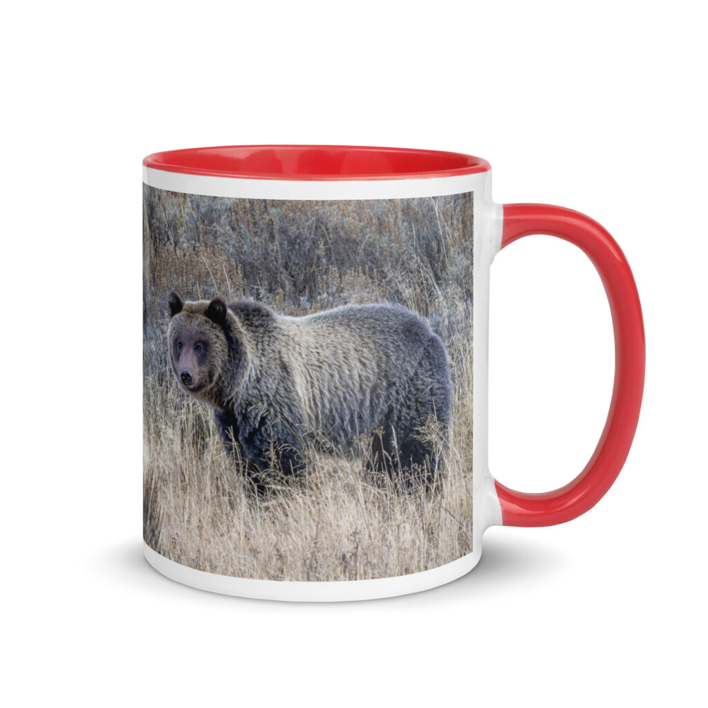 Grizzly bear! Mug with Color Inside