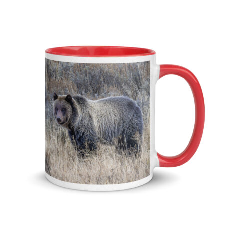Grizzly bear! Mug with Color Inside
