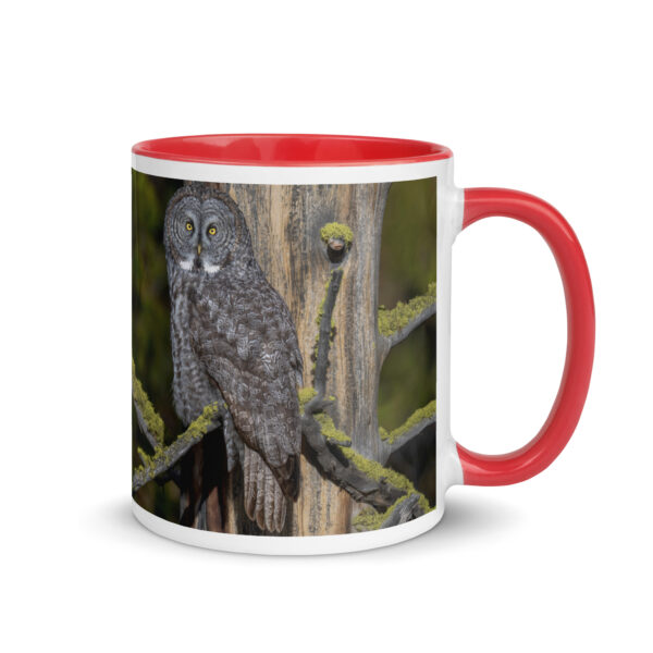 Great Grey Owl Basking in the Sun! Mug with Color Inside