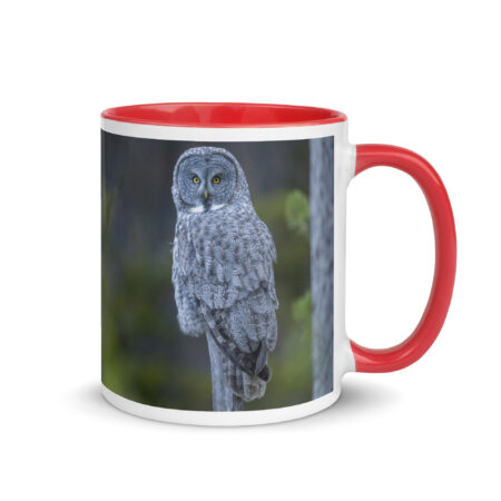 Great Grey Owl! Mug with Color Inside
