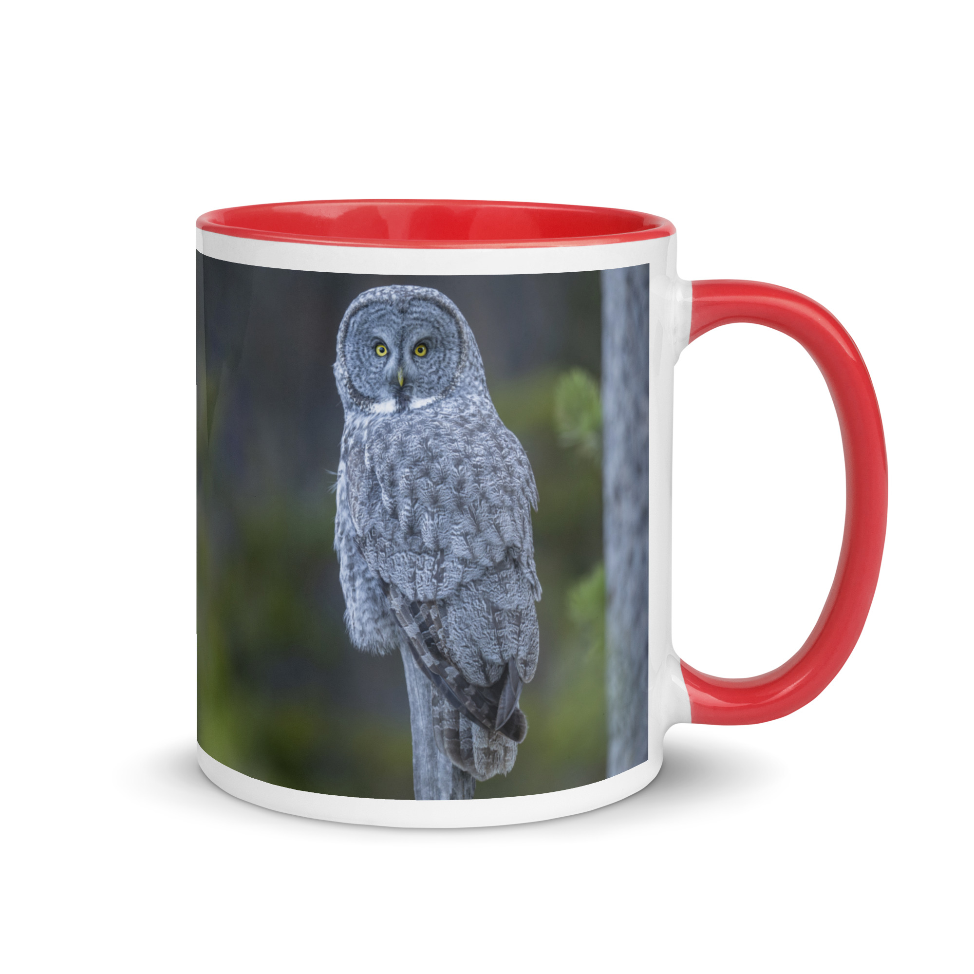 Great Grey Owl! Mug with Color Inside