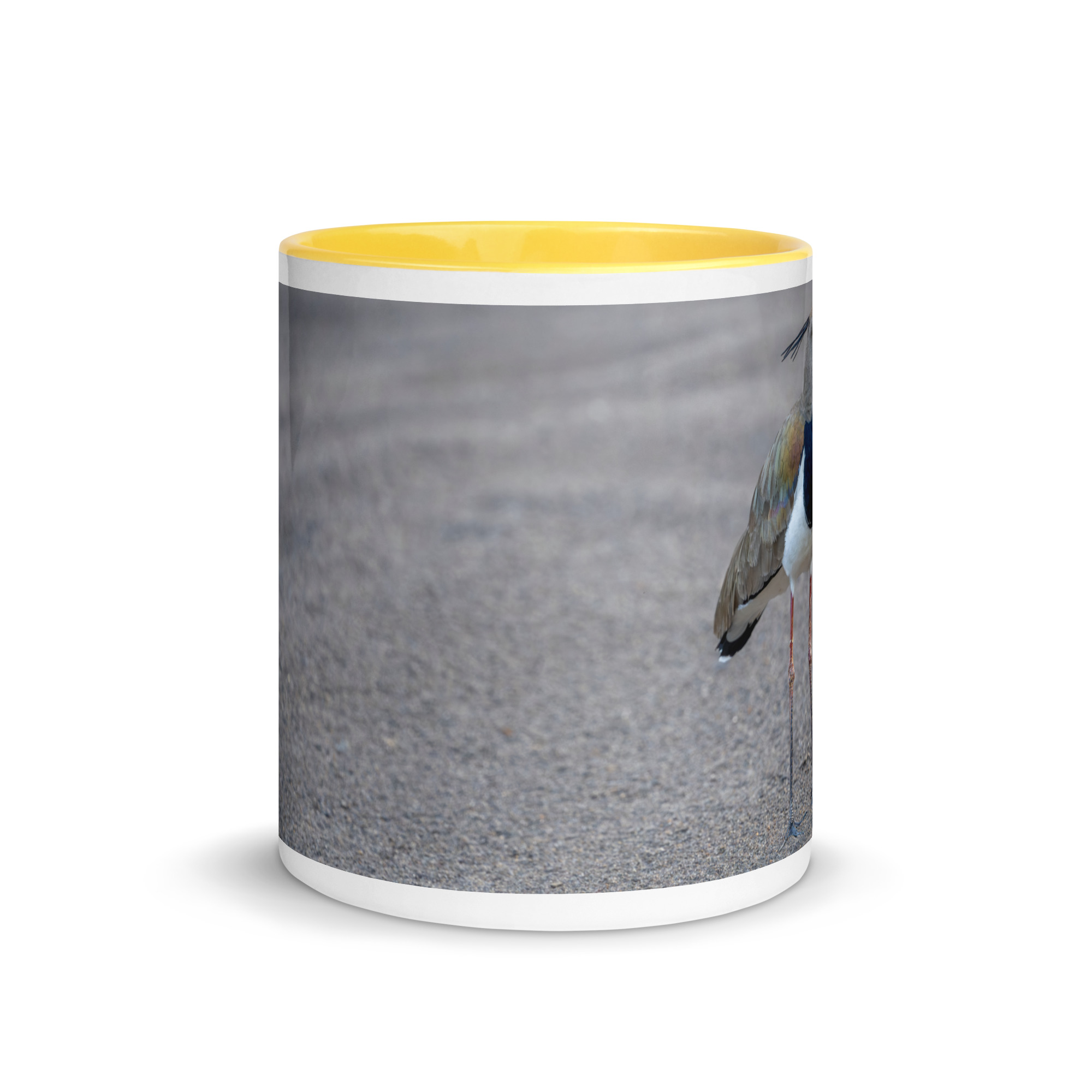 Southern lapwing! Mug with Color Inside - Image 29