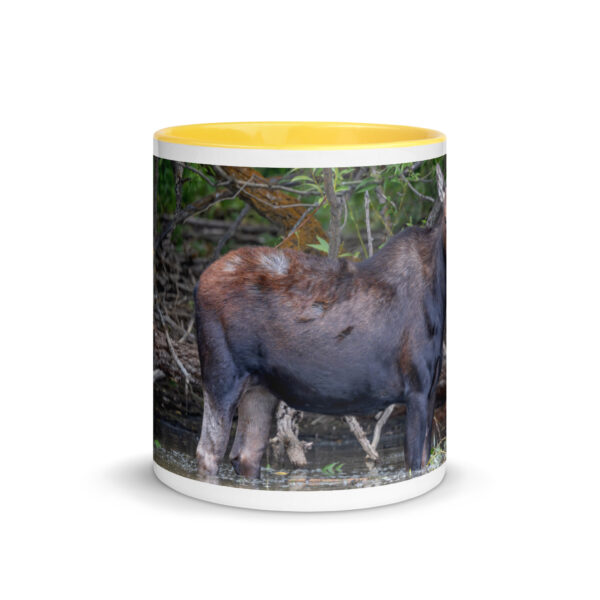 Portrait of a Mama Moose! Mug with Color Inside - Image 29