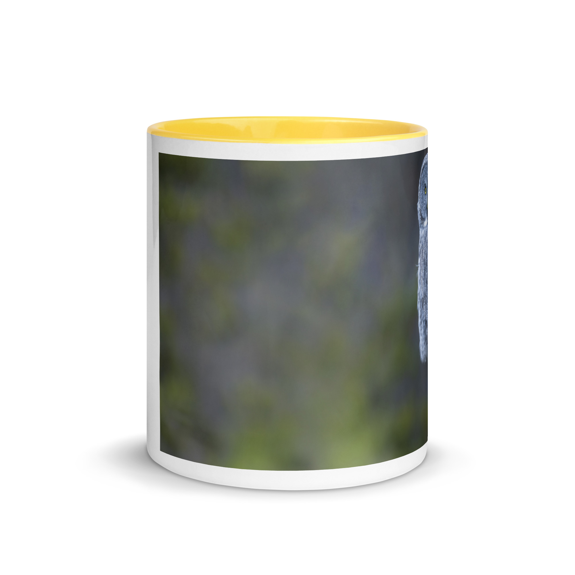 Great Grey Owl! Mug with Color Inside - Image 29