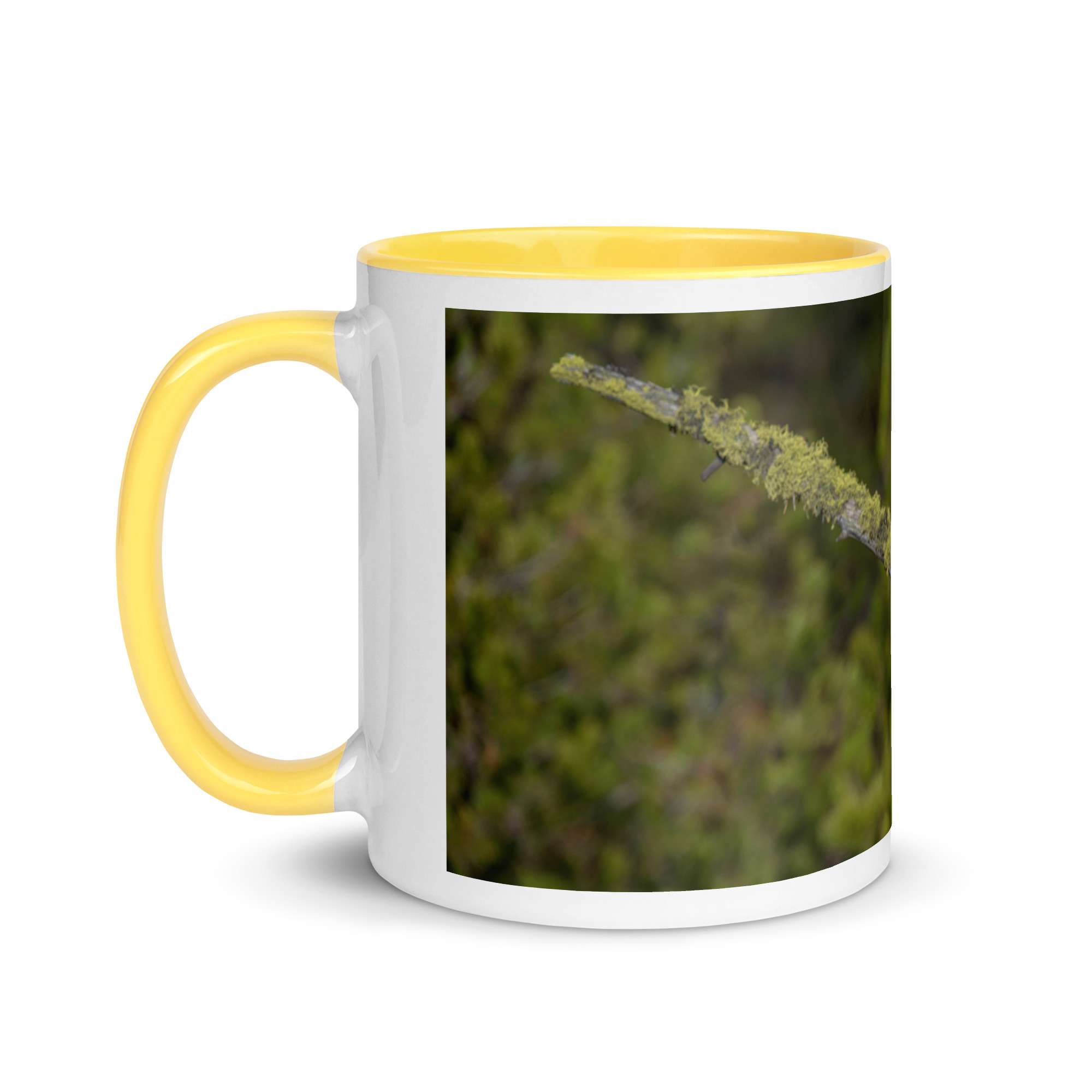 Great Grey Owl Basking in the Sun! Mug with Color Inside - Image 30