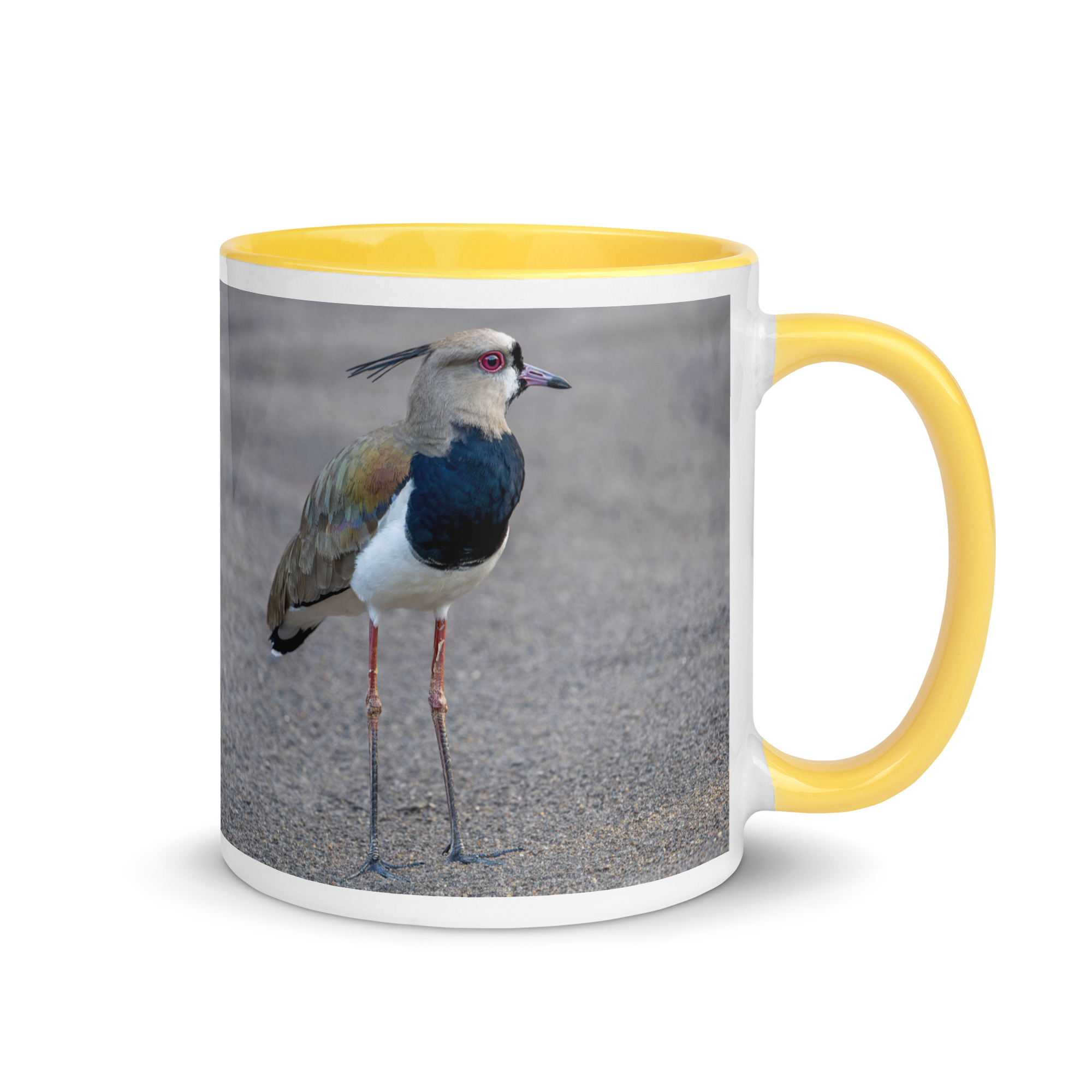 Southern lapwing! Mug with Color Inside - Image 28