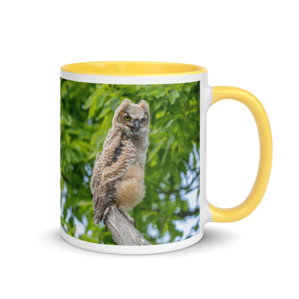 Baby Great horned owl! Mug with Color Inside - Image 28