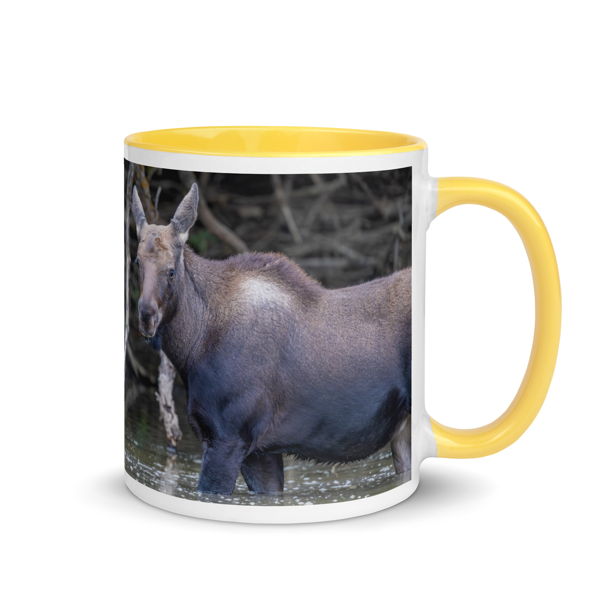 Baby Moose! Mug with Color Inside - Image 28