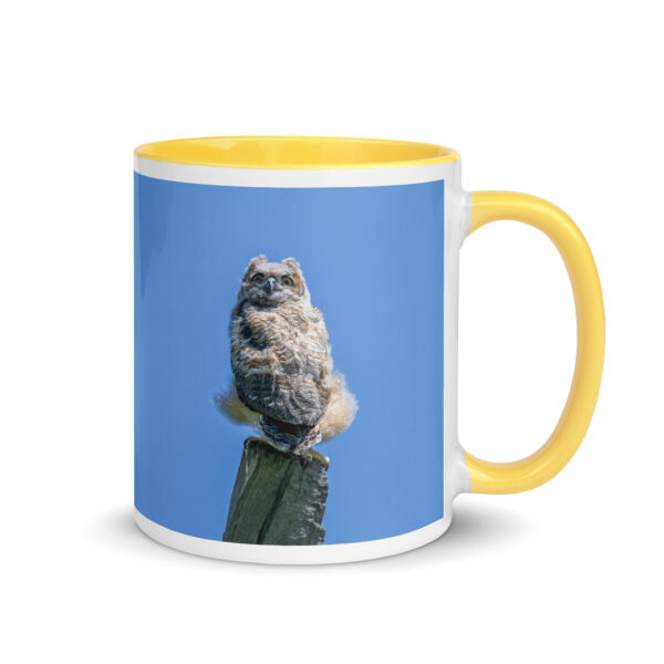 Baby Great horned owl!  Mug with Color Inside - Image 28
