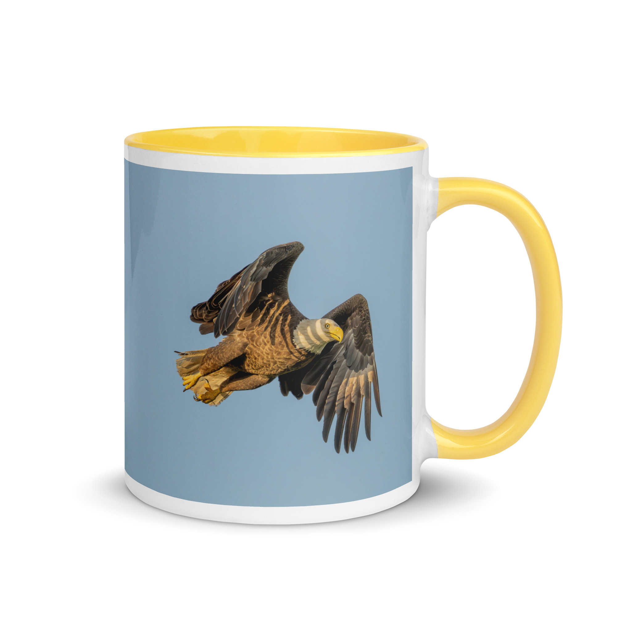 Bald Eagle in Flight at Sunrise! Mug with Color Inside - Image 28