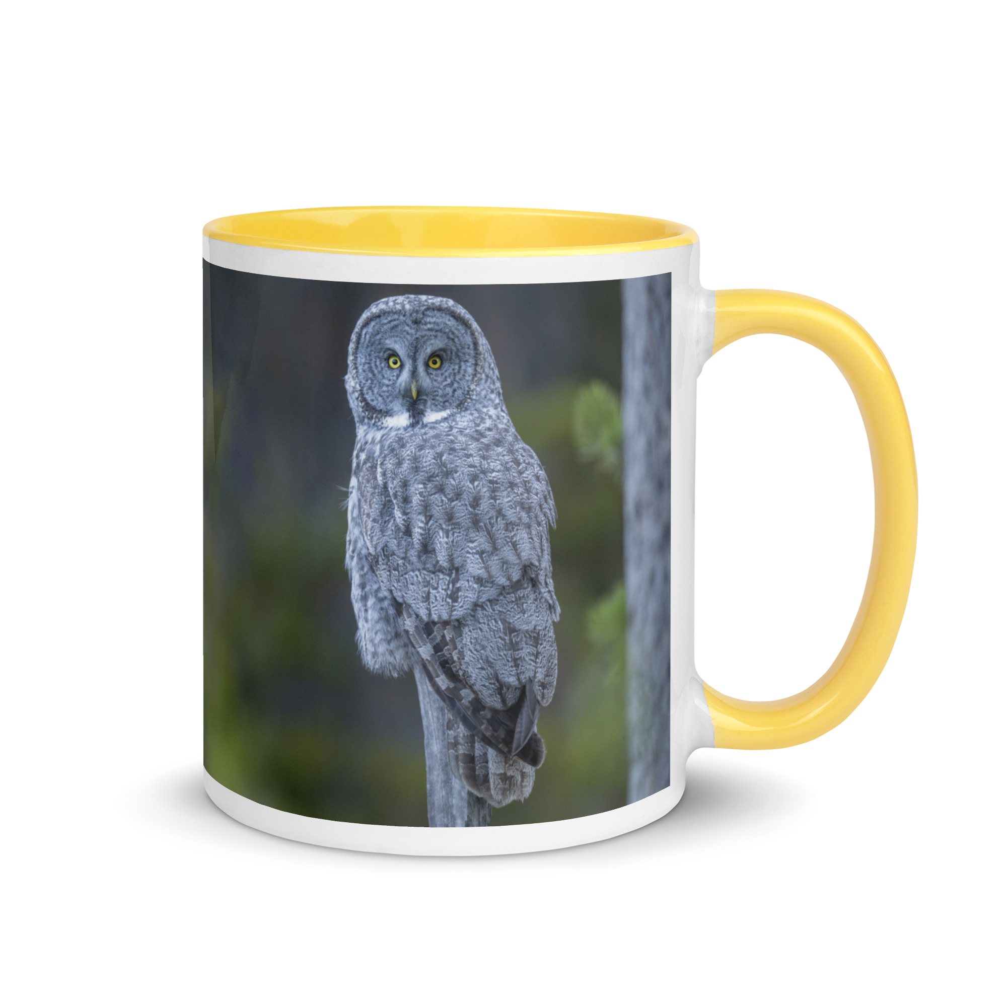 Great Grey Owl! Mug with Color Inside - Image 28
