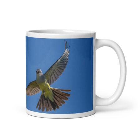 Western Kingbird Hovering Blue Sky! White glossy mug