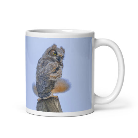 Baby Great Horned Owl! White glossy mug