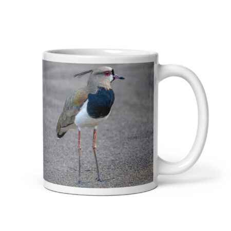 Southern lapwing! White glossy mug