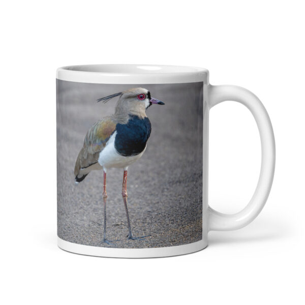 Southern lapwing! White glossy mug