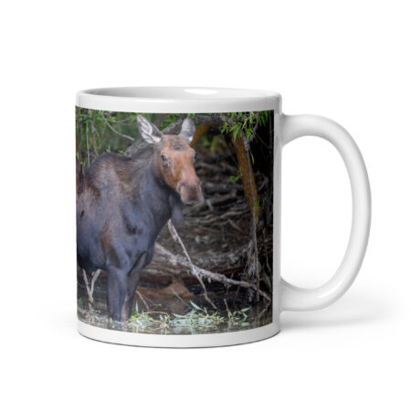 Portrait of a Mama Moose! White glossy mug
