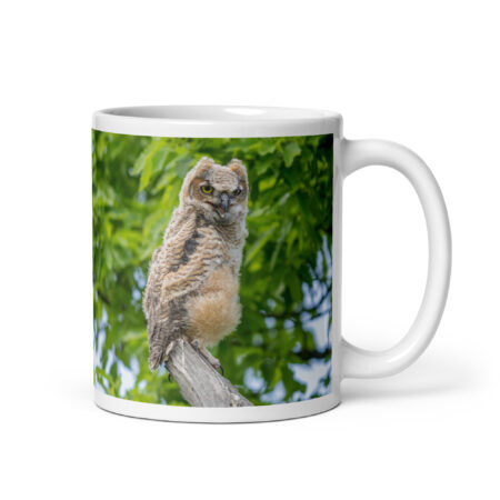 Baby Great horned owl! White glossy mug